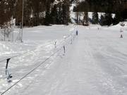 Ponylift Pontresina 1 - Seillift/Babylift mit niederer Seilführung