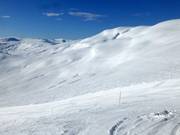 Freeridegebiet am Kari Traa-trekket