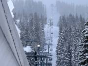 Nachtskifahren Brighton