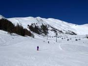 Speiereck-Gipfelbahn