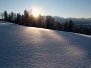 Frischer Neuschnee am Reiserhang