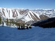 Buckelpiste Upper Flying Squirrel