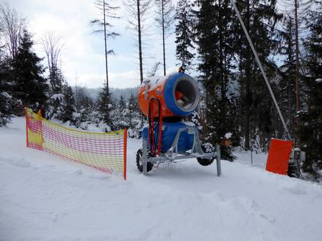 Schneesicherheit Polnische Karpaten – Schneesicherheit Szczyrk Mountain Resort