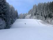 Schwere Piste Střecha