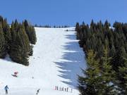 Schwere Piste Variante Rainer