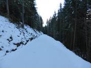 1b: Panorama-Skiweg