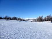 Leichte Piste in Ramundberget