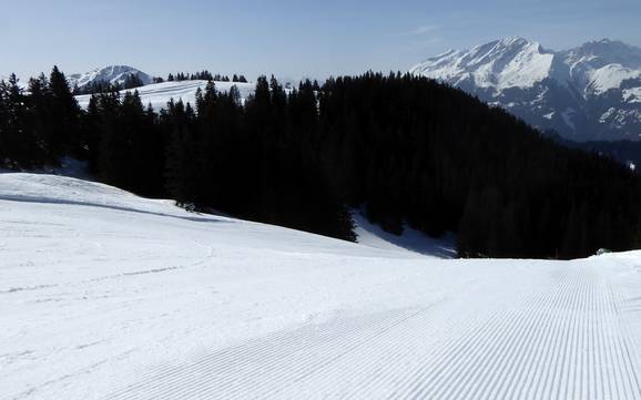 Pistenpräparierung Prättigau – Pistenpräparierung Grüsch Danusa