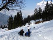 Rodelbahn nach Grindelwald