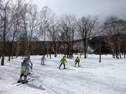 Wintersportler im lichten Wald in Sahoro