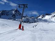 Kitzlift - Tellerlift