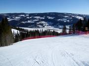 Unterer Teil der Olympiaabfahrt