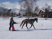 Tipp für die Kleinen  - Skijöring