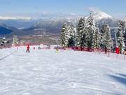 Anfängerpiste Campo Scuola Cermis