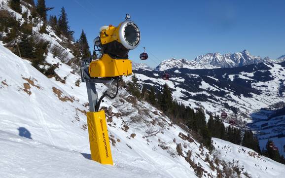 Schneesicherheit Saalfelden Leogang – Schneesicherheit Saalbach Hinterglemm Leogang Fieberbrunn (Skicircus)