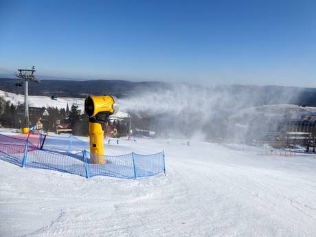 Schneesicherheit Adlergebirge (Orlické hory/Góry Orlickie) – Schneesicherheit Zieleniec