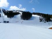 Blick auf die Pisten Wishbone und Jersey Cream Road