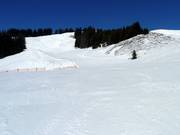 Leichte Weiherkopfabfahrt