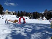 Tipp für die Kleinen  - Kinderland Suvretta der Skischule Suvretta