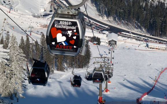 Zwieseler Winkel: beste Skilifte – Lifte/Seilbahnen Arber