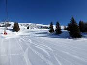 Perfekte Pistenpräparierung am Zettersfeld