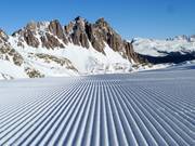 Frische Striche im Schnee