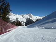 Leichte Familypiste 1