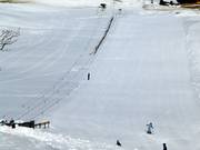 Kinderlift II - Seillift/Babylift mit niederer Seilführung