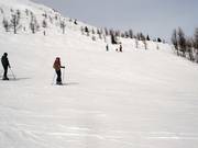 Piste Nr. 150 Look Out