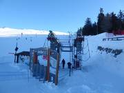 Lièvre Blanc 2 - Tellerlift