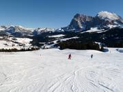 Piste an der Sesselbahn Floralpina