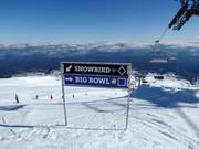 Pistenausschilderung im Skigebiet Tūroa