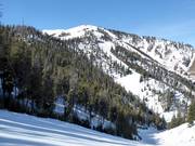 Schwere Piste Olympic