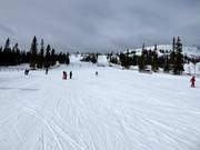 Leichte und breite Piste Barnbackarna