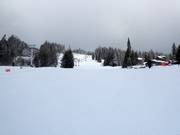 Piste Aladar's Alley