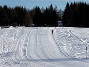 Loipen im Langlaufzentrum Viote