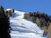 Schwarze Pisten Zoncolan 1