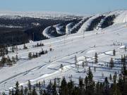 Tipp für die Kleinen  - SkiStar Fun Ride (Hundfjället)