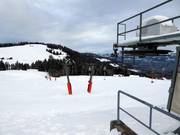 Weißtanne 2 - Tellerlift