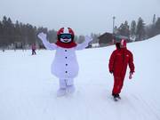 Der Schneemann Valle