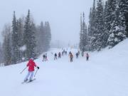 Piste zur Red Pine Lodge