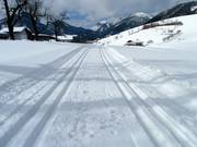 Loipe in Hinterthiersee