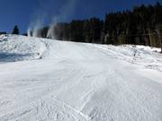 Schwere Talabfahrt Heimalm-Rauris