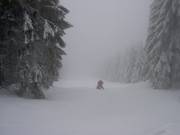 Waldabfahrt am Wurmberg