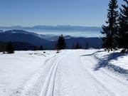 Loipe auf der Hochrindl