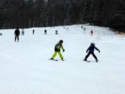 Leichte Pisten am Muli 1 Seillift