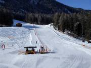 Übungshang Taxermoos