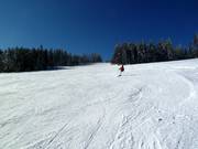 Mittelschwere Abfahrt am Kleinen Almberglift