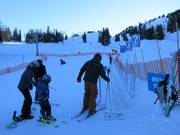 Mitey Mite Carpet - Förderband/Zauberteppich