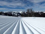 Perfekte Pistenpräparierung im Skigebiet Kolašin